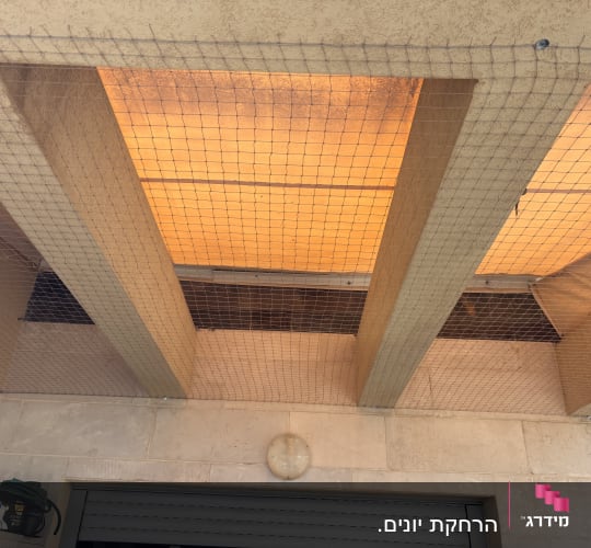רשת למניעת כניסת יונים מתחת לגג